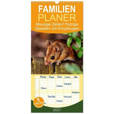 Familienplaner 2027 - Mausige Zeiten! Putzige Gesellen mit Knopfaugen mit 5 Spalten (Wandkalender, 21 x 45 cm) CALVENDO