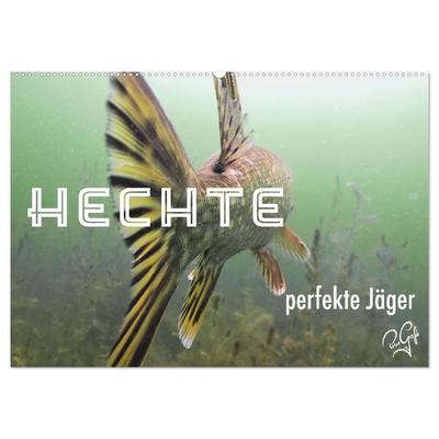 Hechte - perfekte Jäger (Wandkalender 2027 DIN A2 quer), CALVENDO Monatskalender