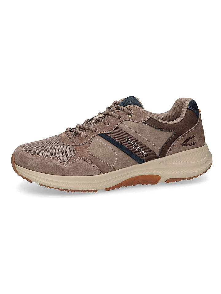 Camel Active Leder-Sneakers "Connect" in Taupe - 44