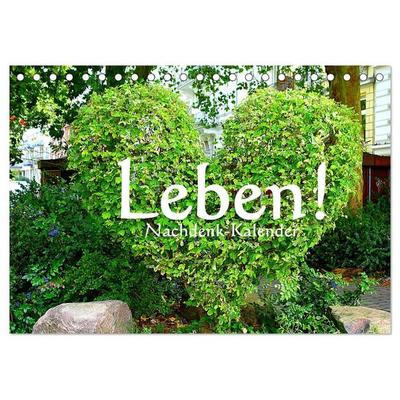 Leben! - Nachdenk-Kalender (Tischkalender 2026 DIN A5 quer), CALVENDO Monatskalender