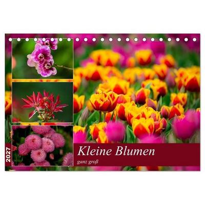 Kleine Blumen ganz groß (Tischkalender 2027 DIN A5 quer), CALVENDO Monatskalender