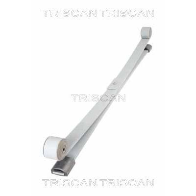 TRISCAN Federnpaket 8765 16047 Hinterachse für Ford