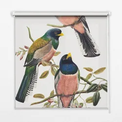 INNENROLLO - Fensterrollo - Rollo - 130x140 cm - Vögel auf den Ästen