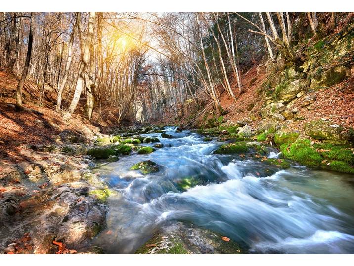 Papermoon Fluss durch Wald