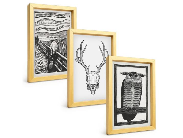 BILDER SET 3er Set - 20x30 cm Goldrahmen - Grafiken mit schreiendem Totenkopf-Eulen