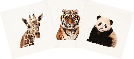 Canvas-Coupon "Zootiere", natur