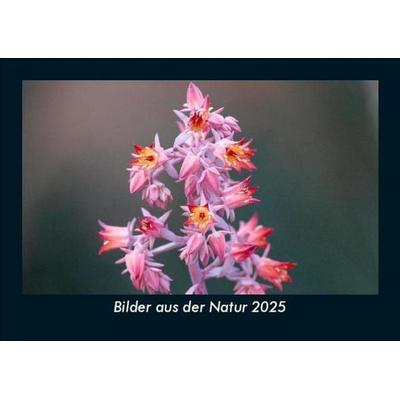 Bilder aus der Natur 2025 Fotokalender DIN A5