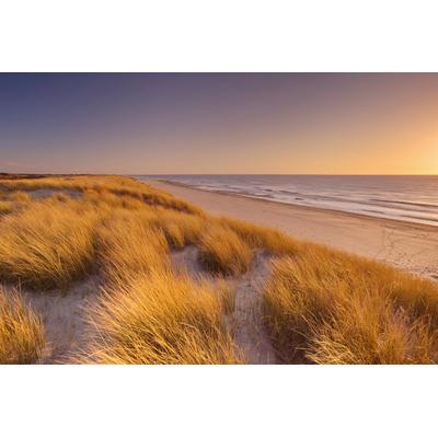 Fototapete PAPERMOON "Strand", bunt, B:5m L:2,8m, Vlies, Tapeten