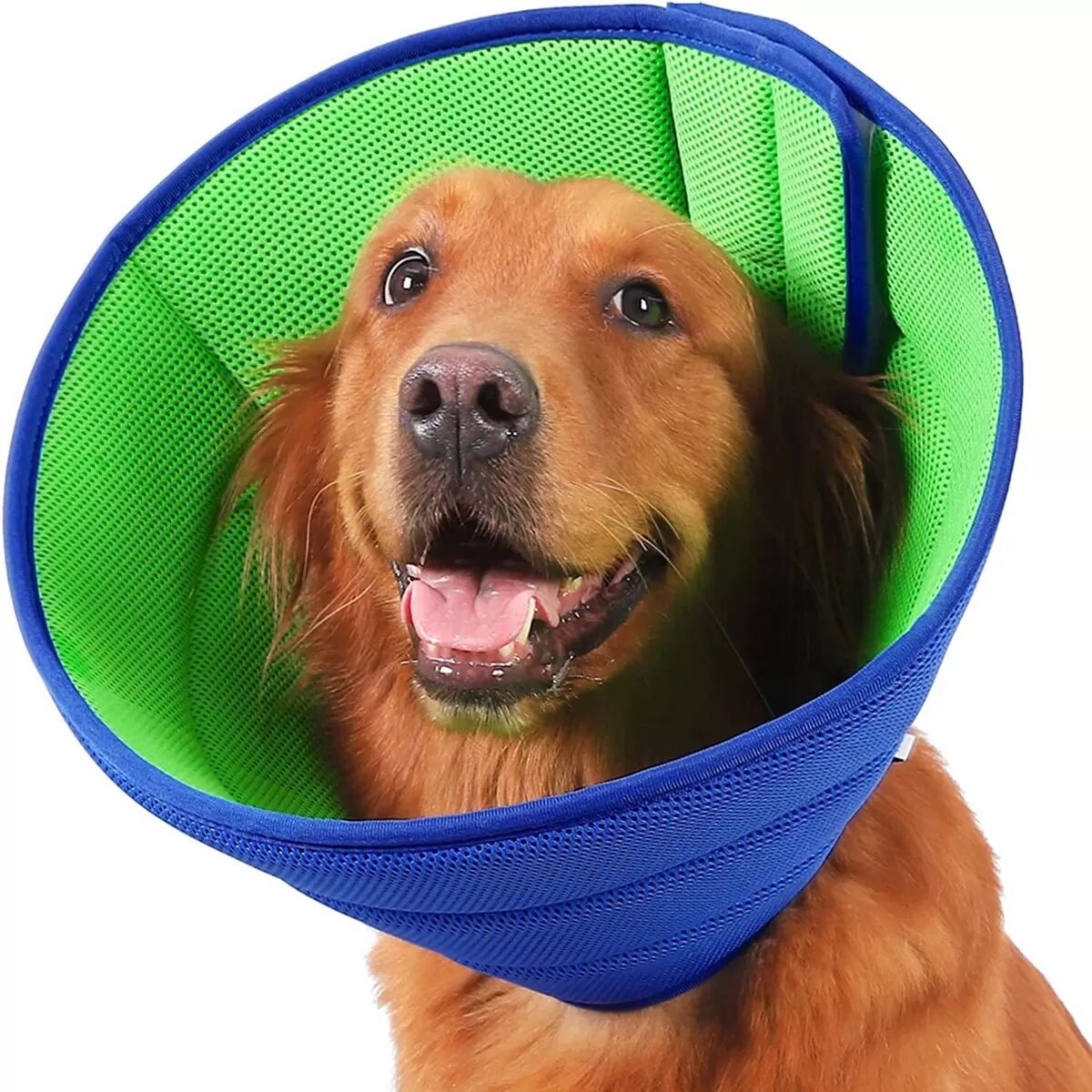 INF Haustier Katze Hund Anti-Leck-Biss-Kragen, Schutzkegel für Pflege & Wundheilung L