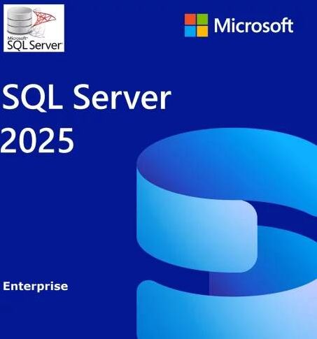 Microsoft SQL Server 2025 Enterprise Unlimited Cores Lifetime License Key GLOBAL