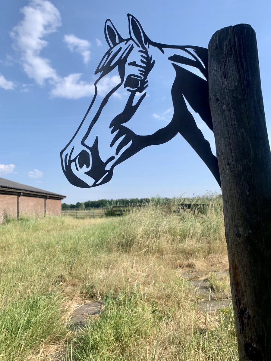 Cortenstaal tuin decoratie Het paard