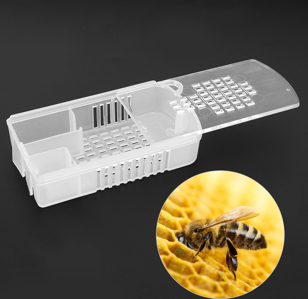 Cocosity 5 stuks transparante plastic koninginencooien voor imkersbenodigdheden