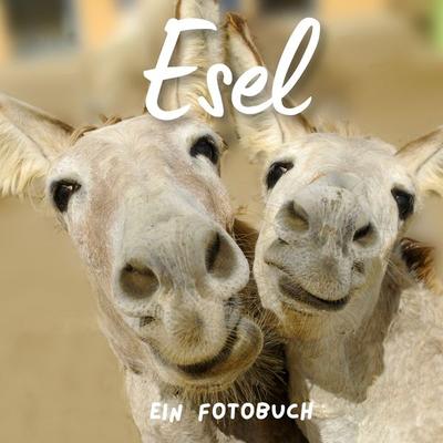 Esel, Taschenbuch von Bibi Hübsch, 27amigos, 978-3-7505-1407-2