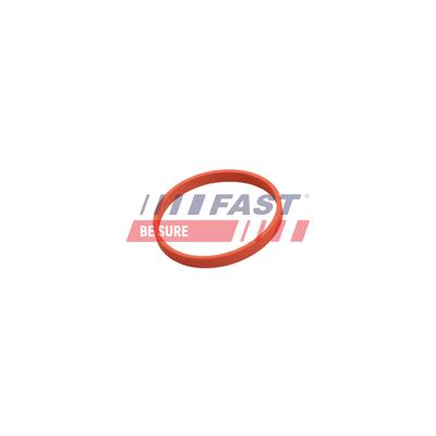 FAST Dichtung, AGR-Ventil FT50628 für Mercedes RENAULT
