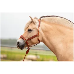 Edix Saddles, Halfter