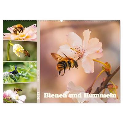 Bienen und Hummeln in Aktion (Wandkalender 2027 DIN A2 quer), CALVENDO Monatskalender