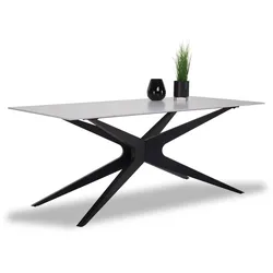 Esstisch LAINY (LBH 180x75x90 cm) - LBH 180x75x90 cm