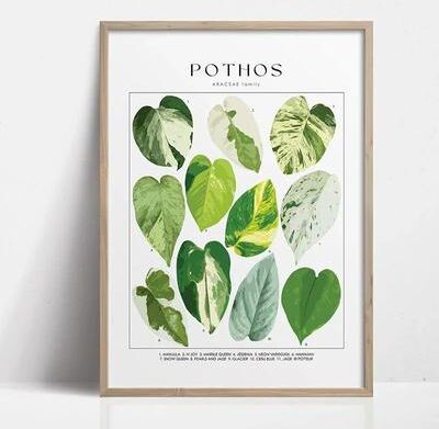 Uplift Picks Botanical Wall Art Plant Canvas Print Green Wall Decor Nature Leaf Poster 18 30x40 Cm