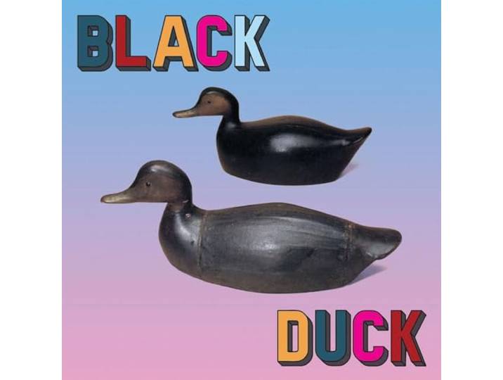 Black Duck