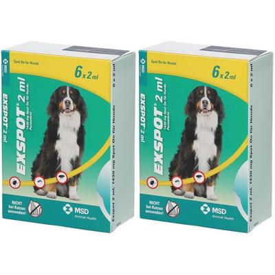 Exspot Lösung f.Hunde 2x 2x6x2 ml