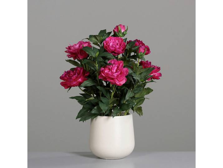 Pfingstrose, Pink, Kunststoff, 66 cm, Handmade in China, inkl. Topf, Dekoration, Blumen & Blumentöpfe, Kunstblumen