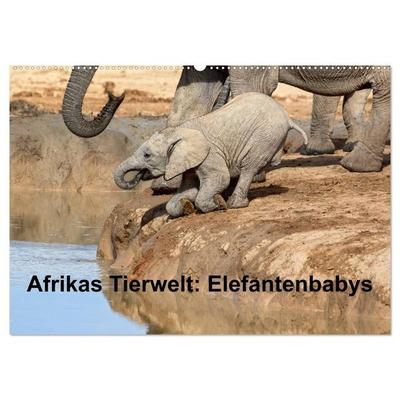 Afrikas Tierwelt: Elefantenbabys (Wandkalender 2027 DIN A2 quer), CALVENDO Monatskalender