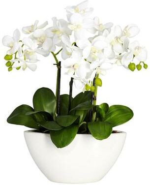 Nearly Natural Phalaenopsis Orchid Silk Flower Arrangement - White