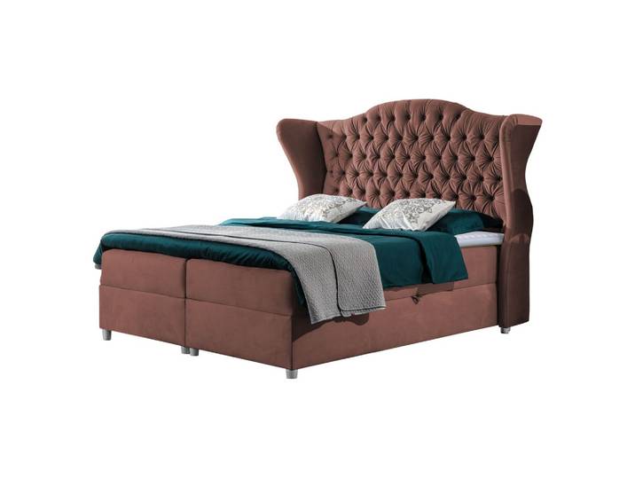 BOXBETT Livia - H3