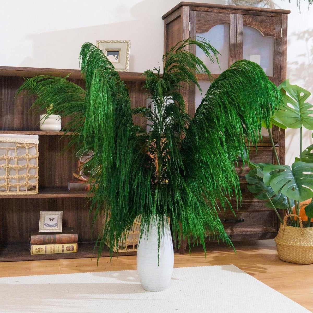 Decoratie Pampasgras Groen - Gedroogde Bloemen - 110 cm