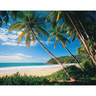 Papermoon "Palmbeach" glatt
