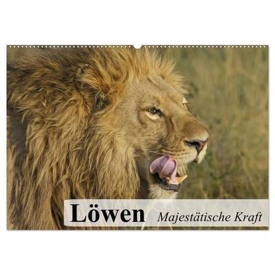 Löwen. Majestätische Kraft (Wandkalender 2027 DIN A2 quer), CALVENDO Monatskalender