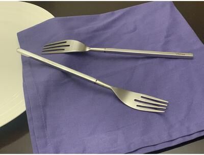 Vibhsa Stainless Steel Dinner Fork Set of 6