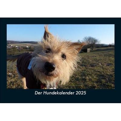 Der Hundekalender 2025 Fotokalender DIN A5