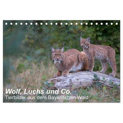 Wolf, Luchs und Co. - Tierbilder aus dem Bayerischen Wald (Tischkalender 2026 DIN A5 quer), CALVENDO Monatskalender