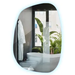 LED SPIEGEL 67,9x47 cm Kaltweiß 6500K