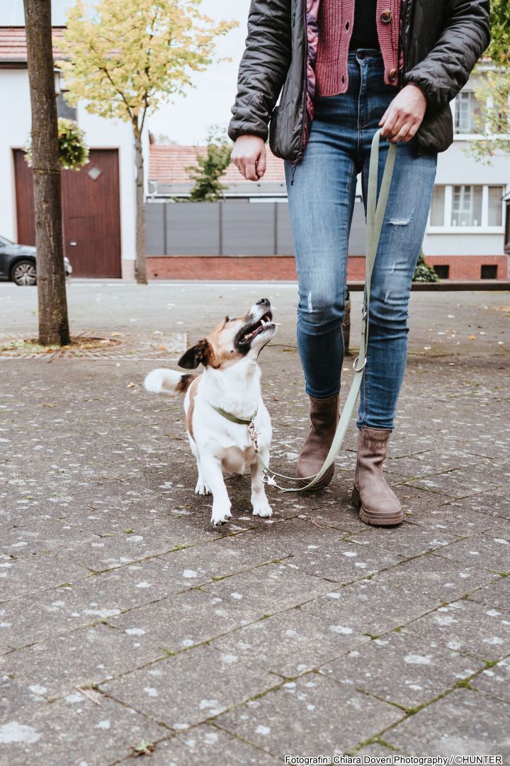 DOG SPORT HUNTER Verstellbare Führleine Inari 20/200, lindgrün