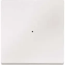 Merten Wippe polar weiß für Tastermodul 1 fach 625119