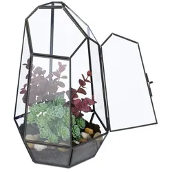 Relaxdays Geometrisches Pflanzenterrarium aus Glas Schwarz,Transparent