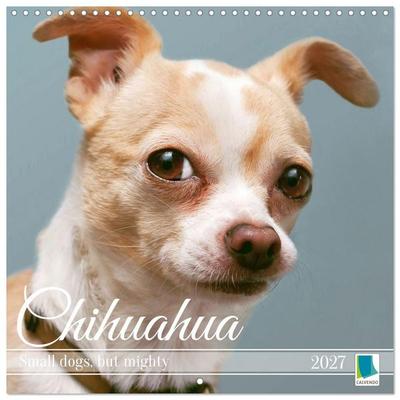 Chihuahua: Small dogs, but mighty (Wall Calendar 2027 12 × 12 Inch) CALVENDO 12 Month Wall Calendar