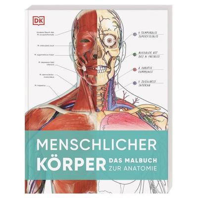 Menschlicher Körper, Taschenbuch von , DK Verlag Dorling Kindersley, 978-3-8310-5360-5