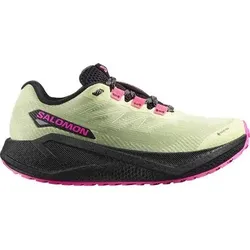 SALOMON Damen Laufschuhe SHOES AERO BLAZE 3 GRVL GTX W Buttrf/Bla, Größe 42 in Grau Grau
