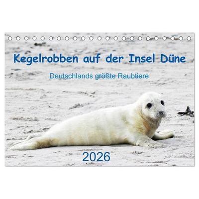 Kegelrobben auf der Insel Düne (Tischkalender 2026 DIN A5 quer), CALVENDO Monatskalender