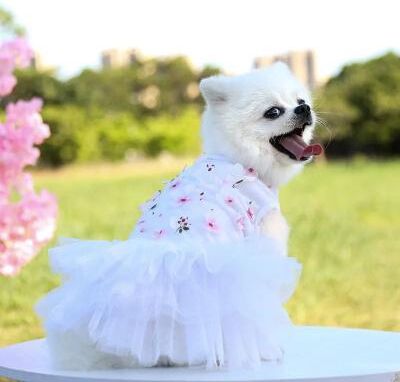 Inspire Essentials Floral Princess Dog Dress 3 l