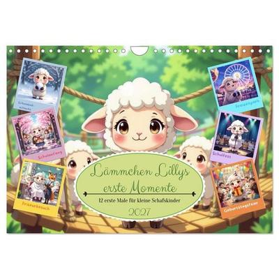 Lämmchen Lillys erste Momente (Wandkalender 2027 DIN A4 quer), CALVENDO Monatskalender