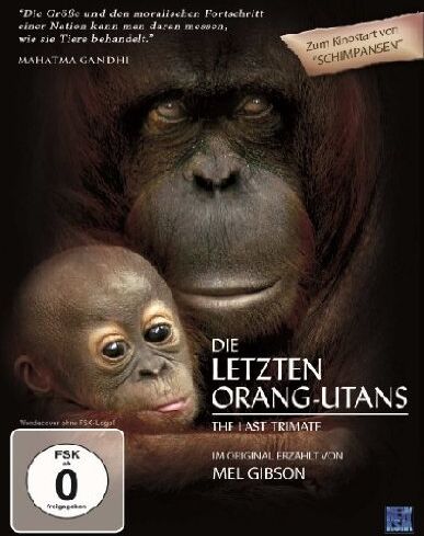 Stephen Van Mil - Die letzten Orang-Utans - The Last Trimate - Preis vom 08.10.2026 07:26:42 h