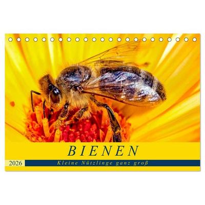 BIENEN - Kleine Nützlinge ganz groß (Tischkalender 2026 DIN A5 quer), CALVENDO Monatskalender