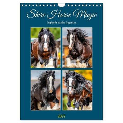 Shire Horse Magie. Englands sanfte Giganten (Wandkalender 2027 DIN A4 hoch), CALVENDO Monatskalender