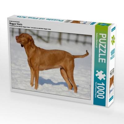 CALVENDO Puzzle Magyar Vizsla - Wintermotiv | 1000 Teile Lege-Größe 64x48cm Foto-Puzzle für glückliche Stunden