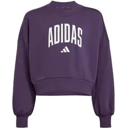 ADIDAS Kinder Sweatshirt Seasonals Essentials Collegiate Typography Crewneck Kids, Größe 128 in Lila Lila