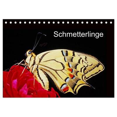 Schmetterlinge (Tischkalender 2027 DIN A5 quer), CALVENDO Monatskalender